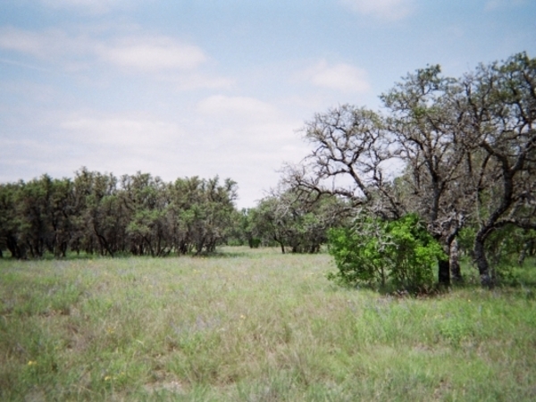 356ac Kimble County Photo