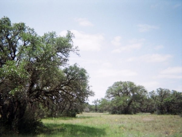 356ac Kimble County Photo