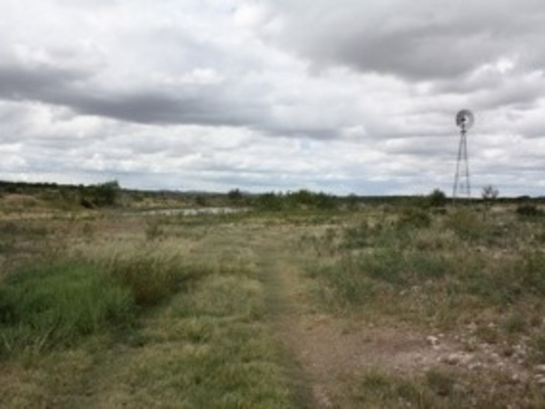 3,729ac. Irion County Photo