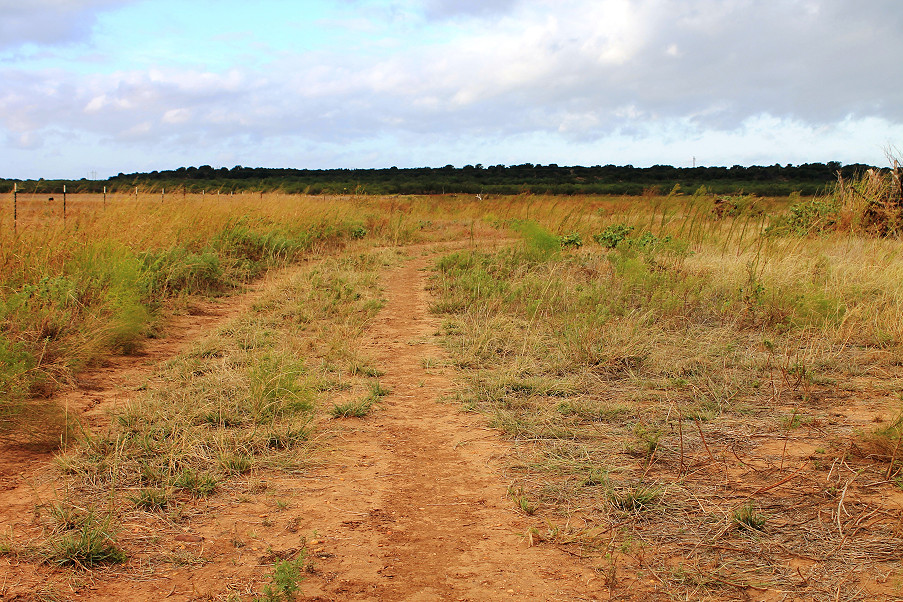 Runnels County Photo