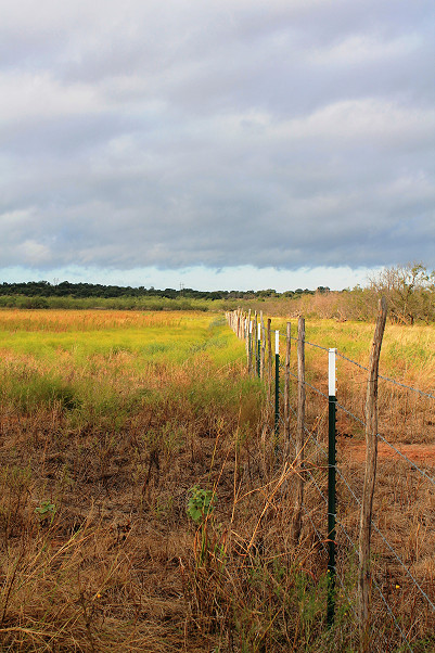 Runnels County Photo