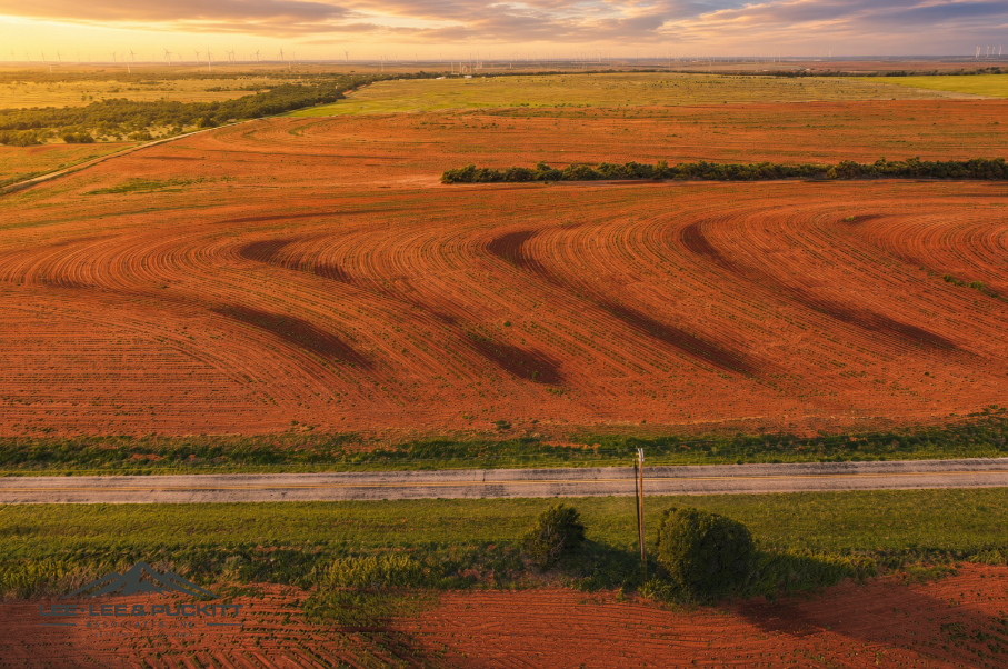 Ammons Farm Photo