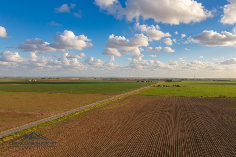 Wilde - Garcia Farm Photo