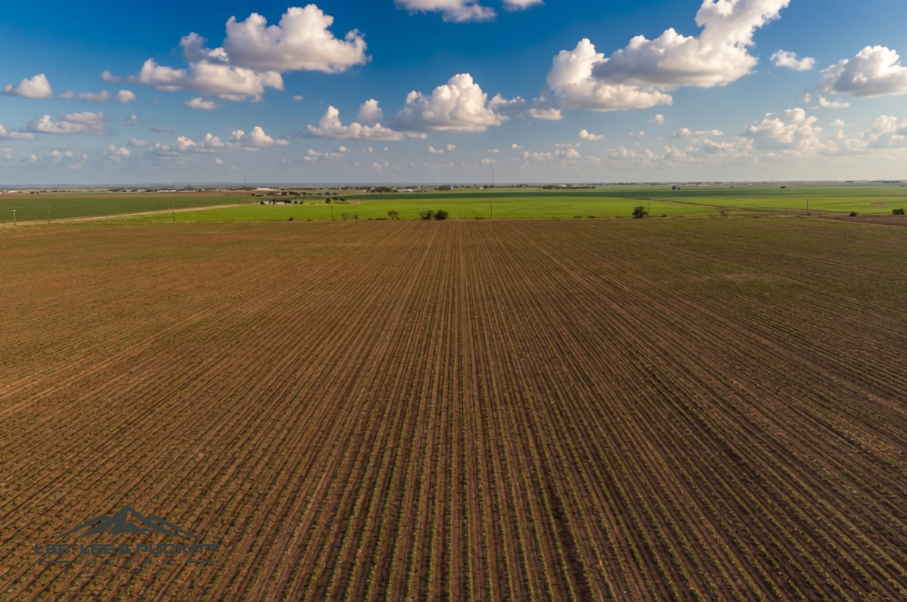 Wilde - Garcia Farm Photo