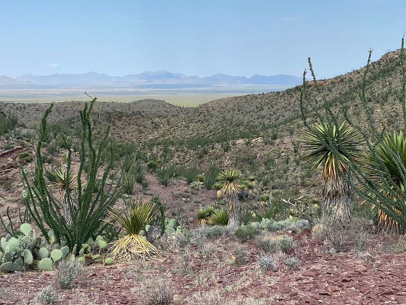 Wilken Ranch Photo