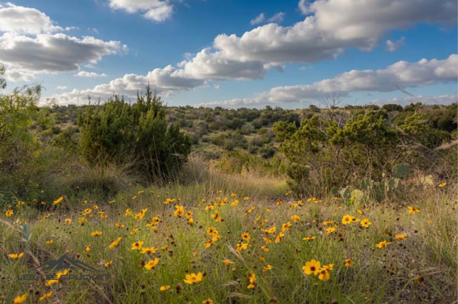 Landers Ranch Photo