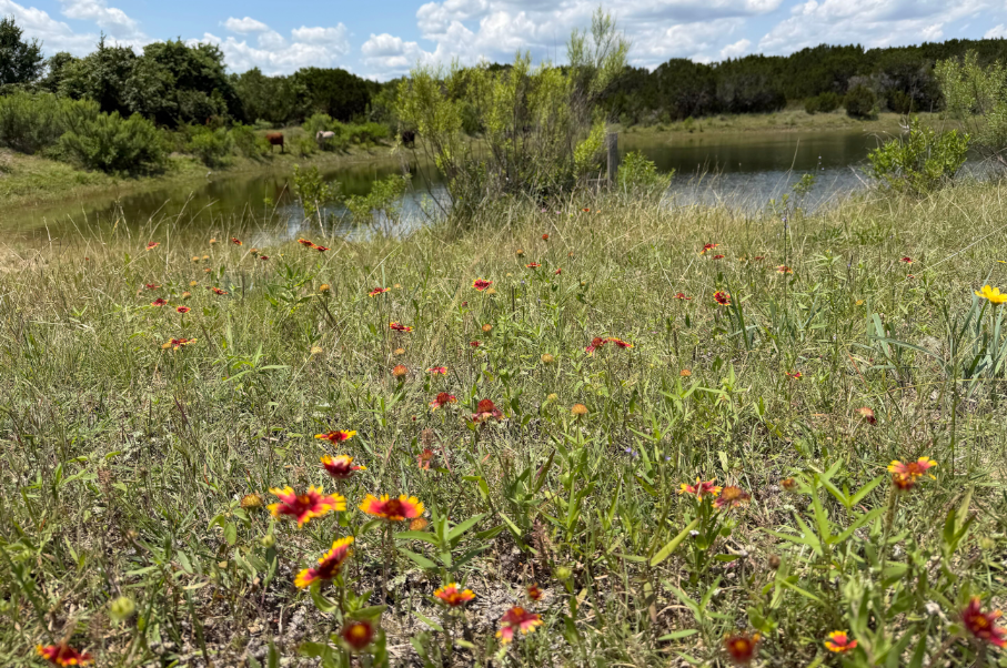 Makins Ranch Photo