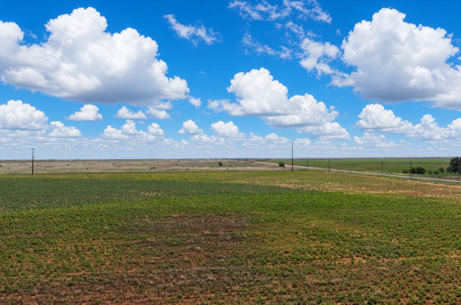 Gaines County Farm Photo