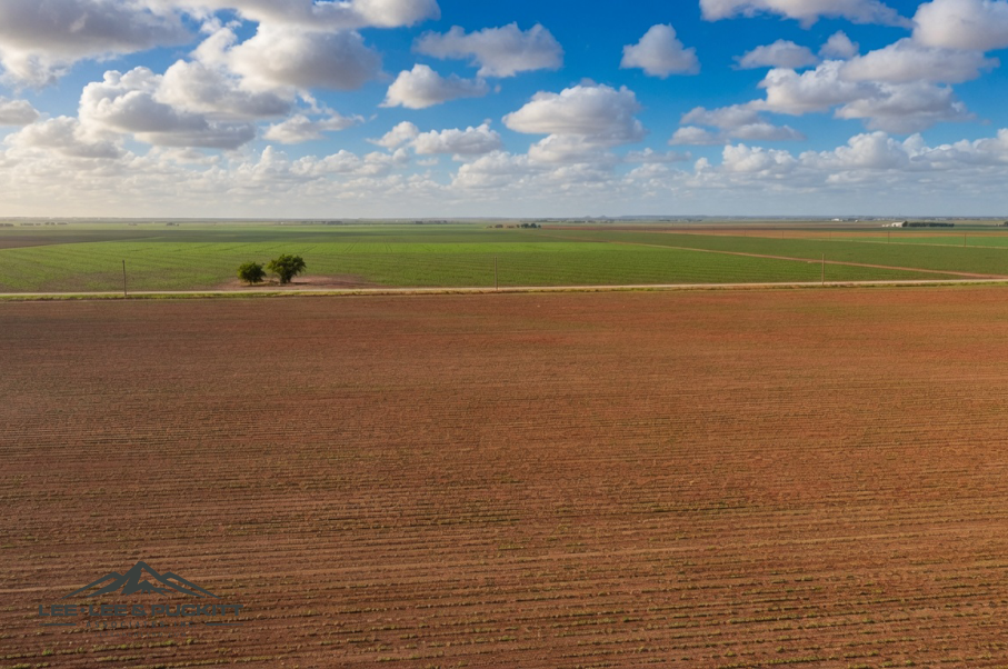 Wilde - Garcia Farm Photo