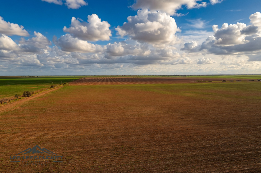 Wilde - Garcia Farm Photo