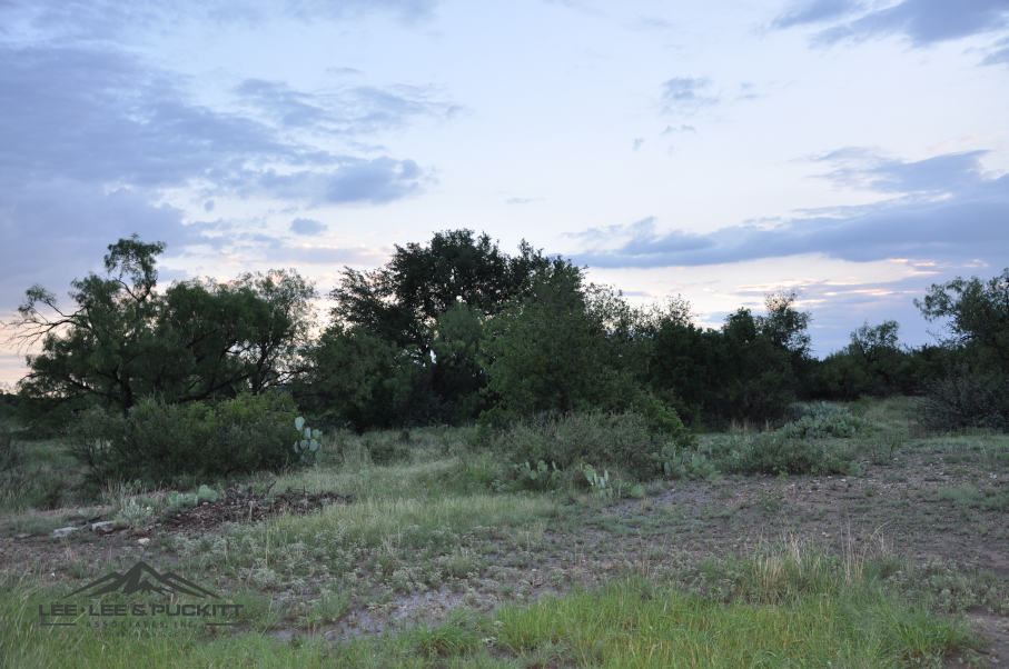 Highway 277 Ranch Photo