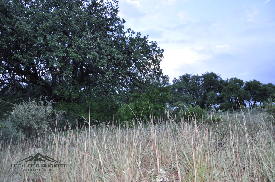 Highway 277 Ranch Photo