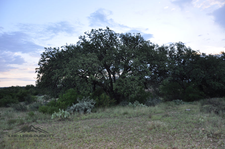 Highway 277 Ranch Photo