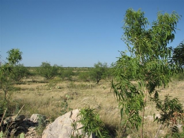 Royster Ranch Photo