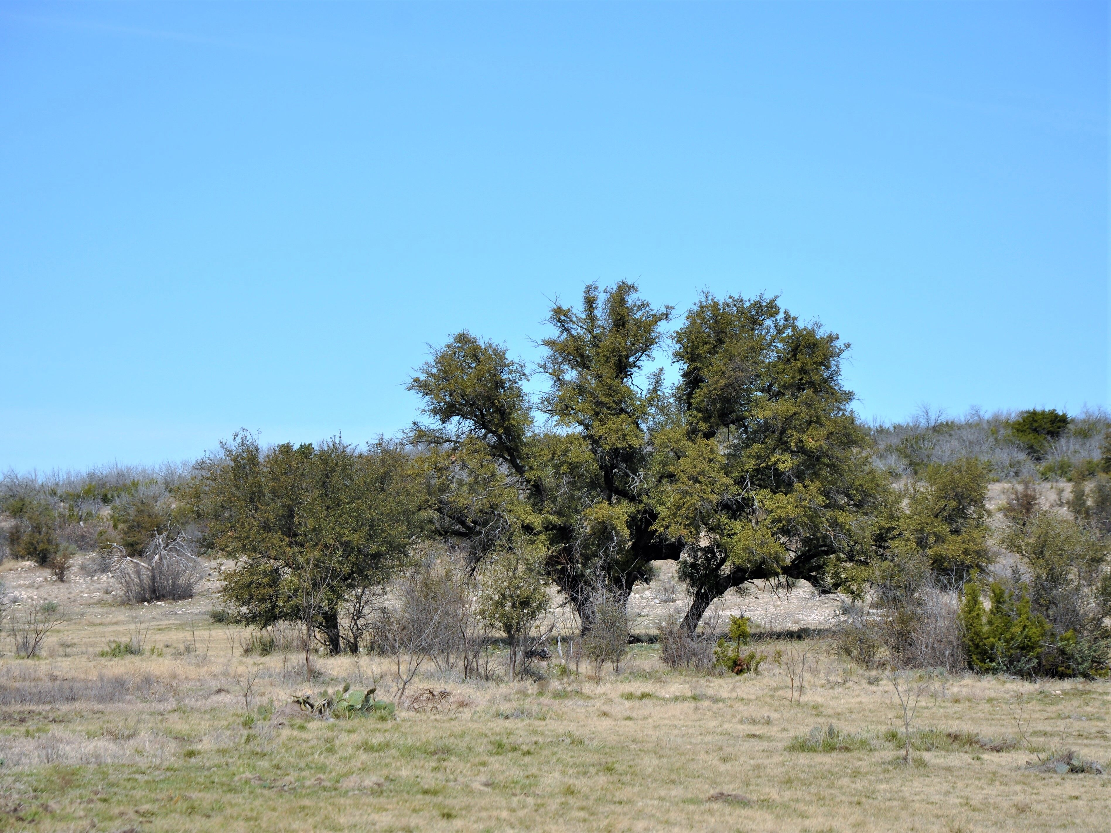 Antelope Springs Ranch Lee, Lee & Puckitt Associates Inc.