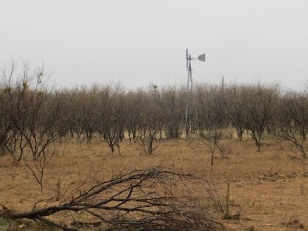 Baxters Outback Ranch Photo