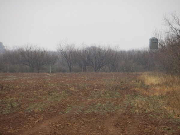 Baxters Outback Ranch Photo