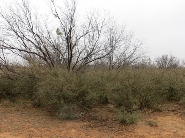 Baxters Outback Ranch Photo