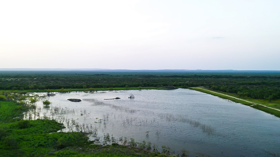 Sims Whitetail Ranch Photo