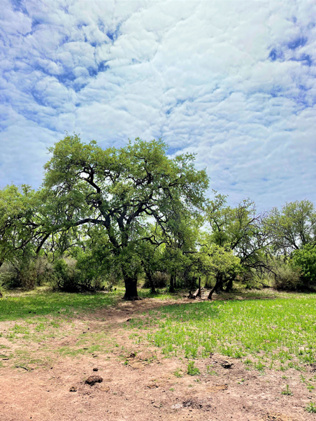 Big Tank Ranch Photo