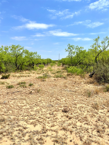 Big Tank Ranch Photo