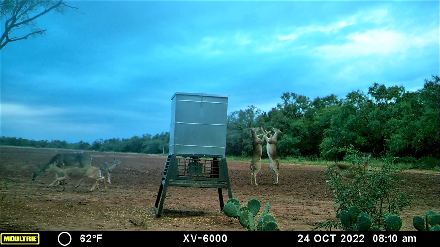 Big Tank Ranch Photo