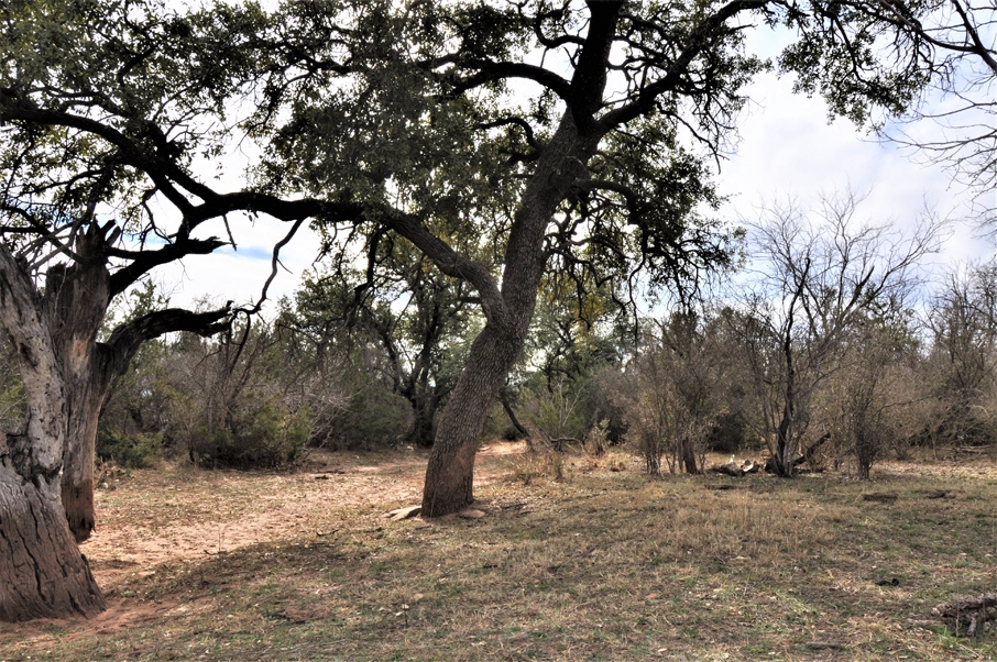 Big Tank Ranch Photo