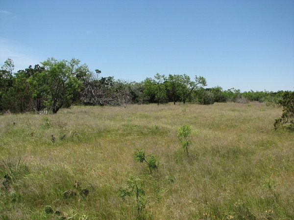 Box Canyon Ranch Photo