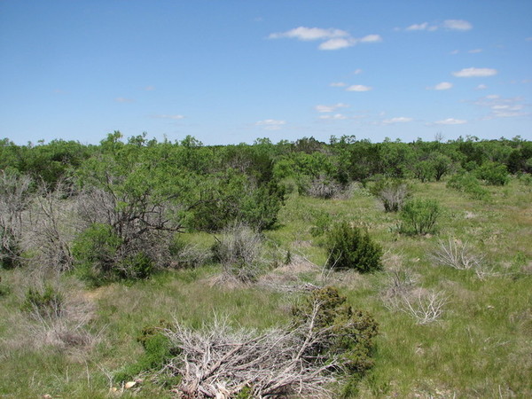 Box Canyon Ranch Photo