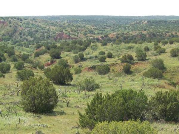 Foster Briscoe Ranch Photo