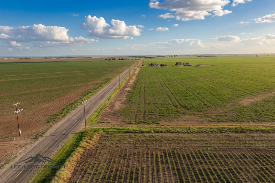Wilde - Garcia Farm Photo
