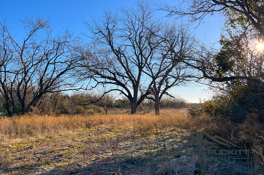 Box Ranch Photo