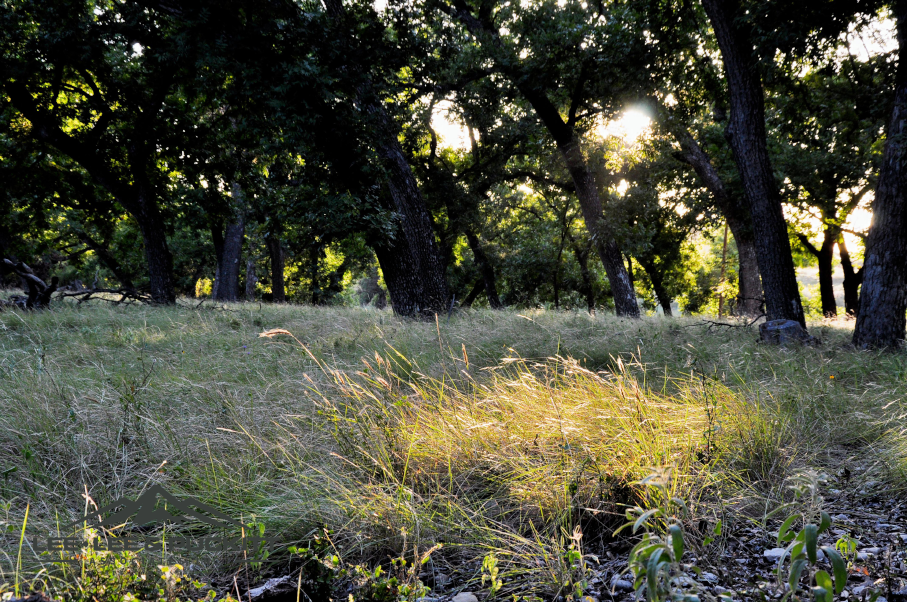 Kepler Creek Ranch Photo