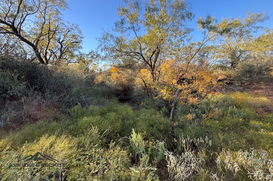 Lone Oak Ranch Photo