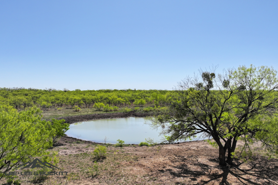 Black Ranch Photo