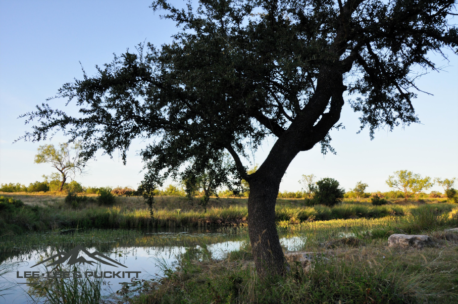 Kepler Creek Ranch Photo