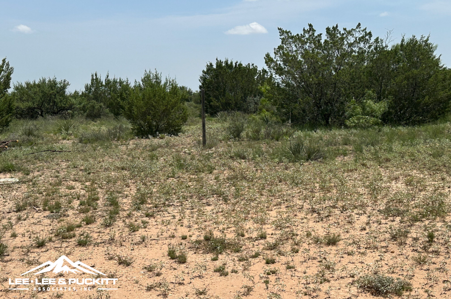 Round House Ranch Photo