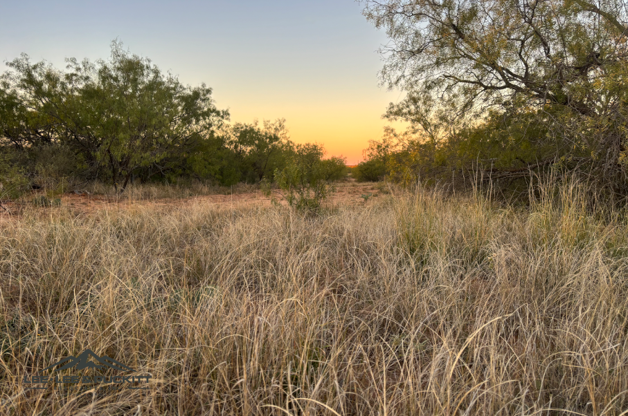 Lone Oak Ranch Photo