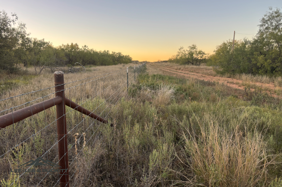 Lone Oak Ranch Photo