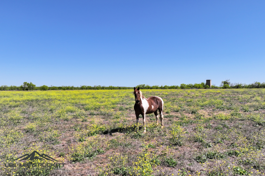 Black Ranch Photo