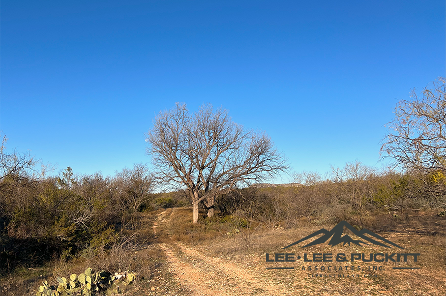 Box Ranch Photo