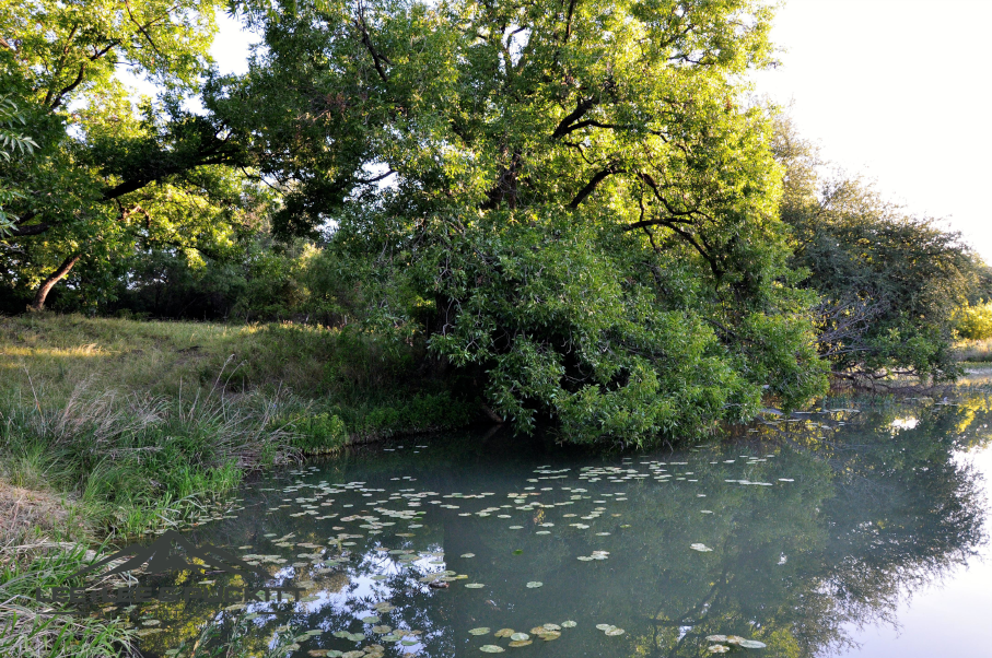 Kepler Creek Ranch Photo