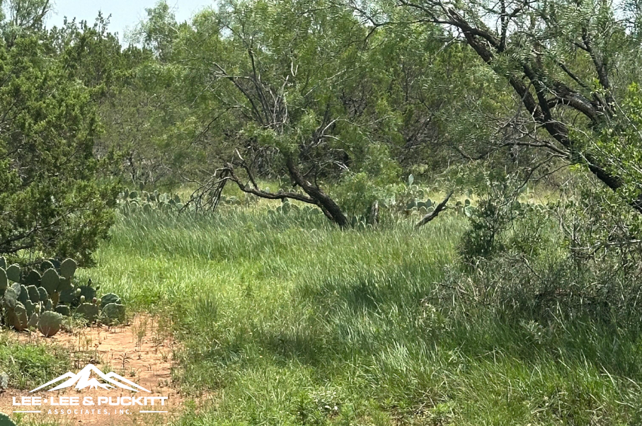 Round House Ranch Photo