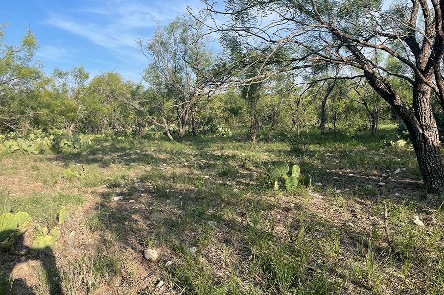 Schneider Ranch Photo