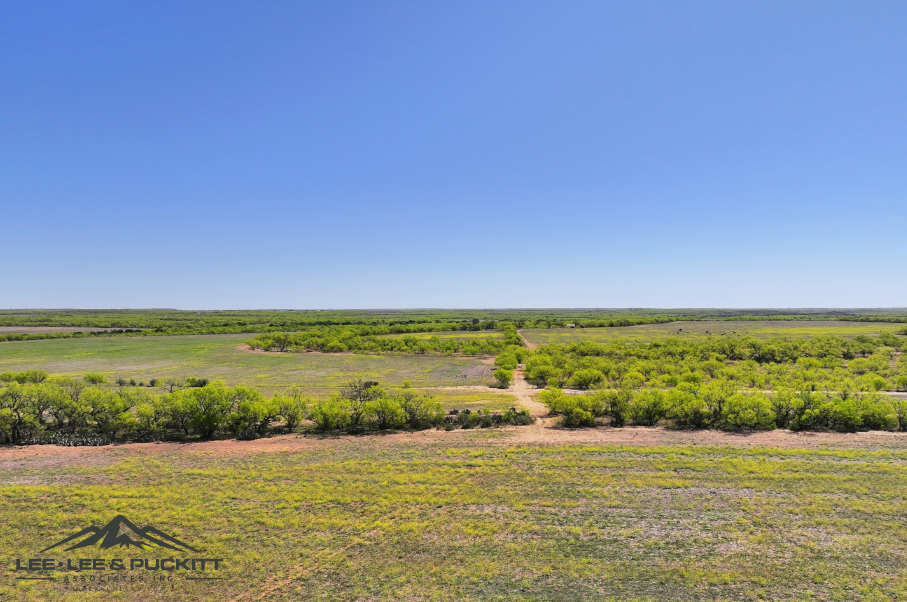 Black Ranch Photo