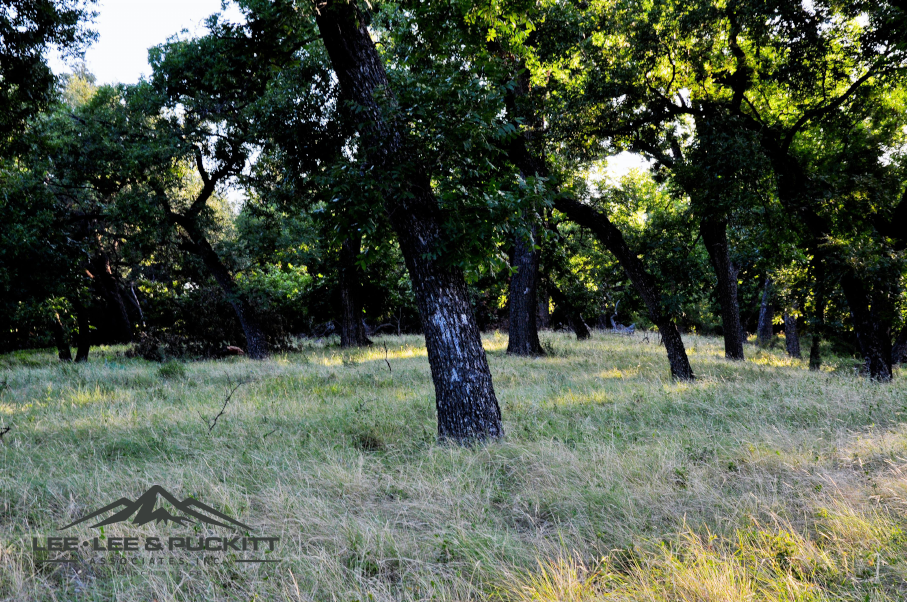Kepler Creek Ranch Photo