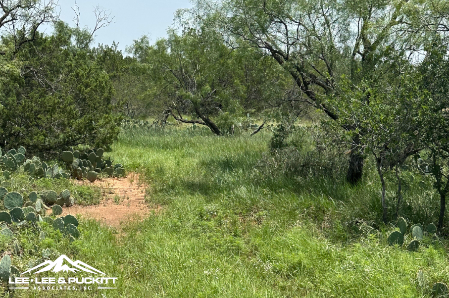 Round House Ranch Photo