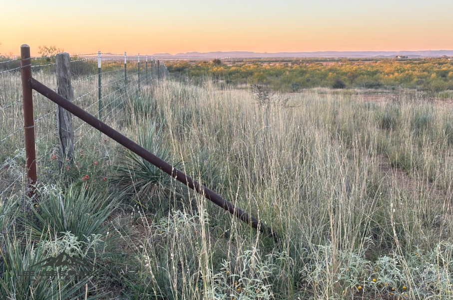Lone Oak Ranch Photo