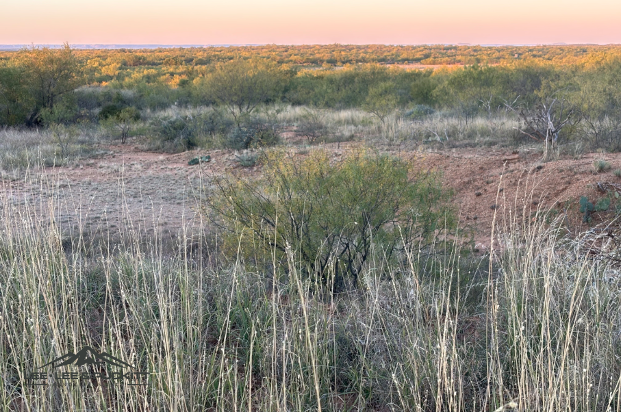 Lone Oak Ranch Photo