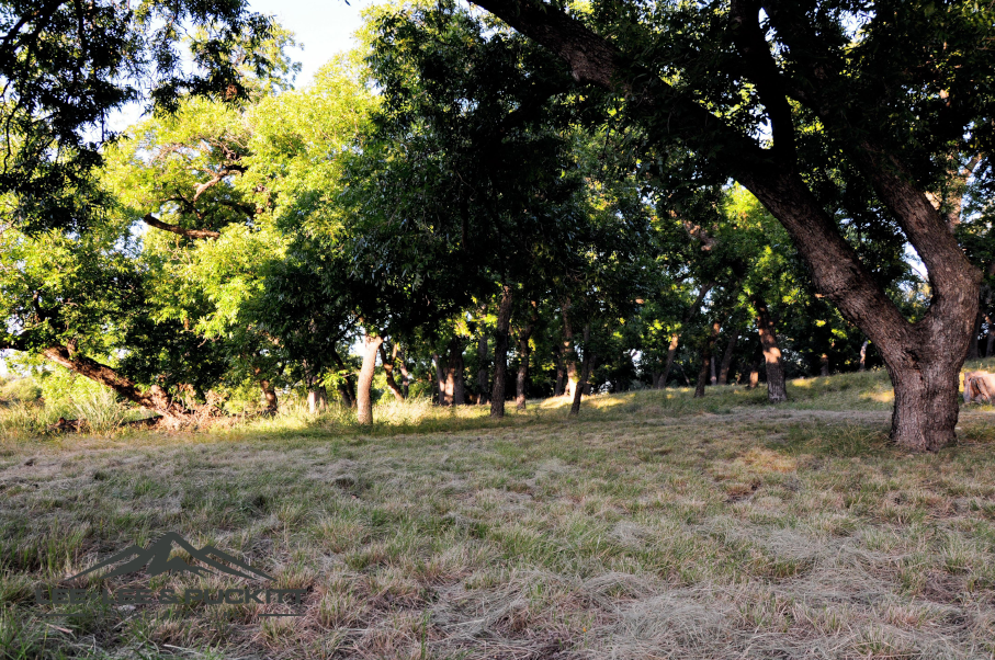 Kepler Creek Ranch Photo